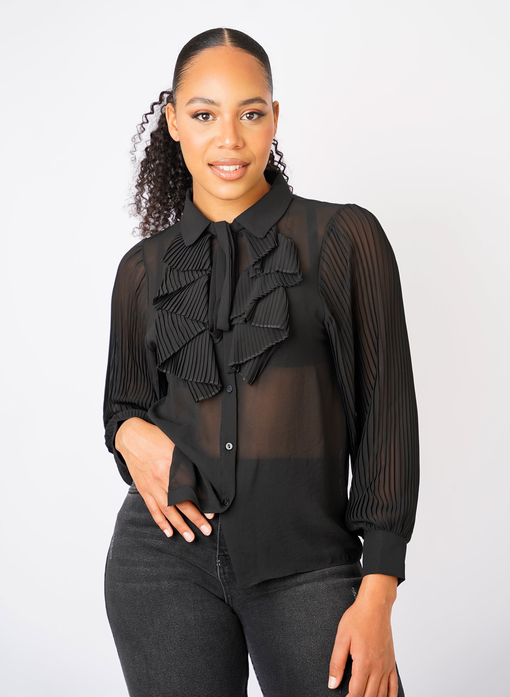 Lake Long Sleeve Sheer Black Blouse